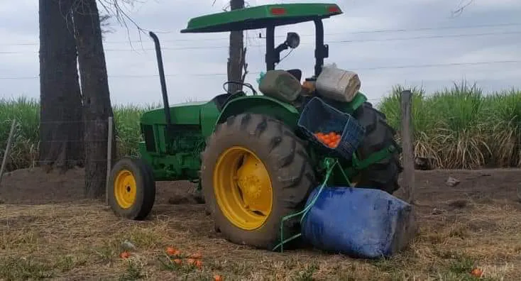 FB_IMG_1688737832284