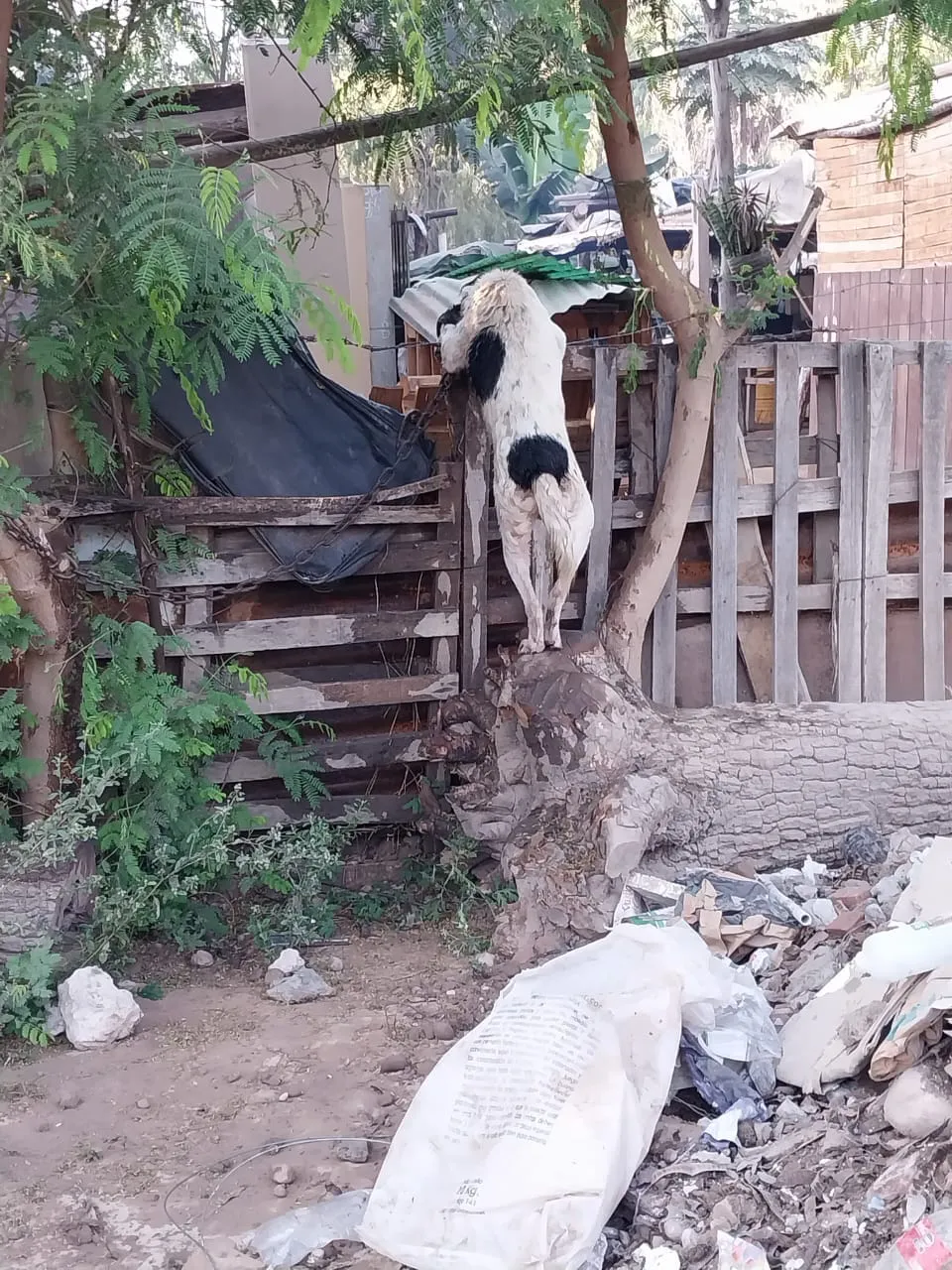 367401958_1574745863053907_4726866991657793121_n