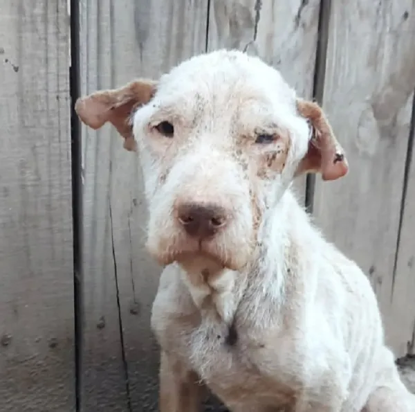 multimedia.miniatura.bb53665c0d03608e.bWluaWF0dXJhLndlYnA=