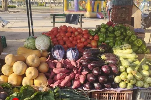 463264608_1015289990611938_39333300763285438_n