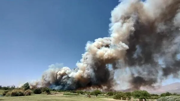 incendio-en-medanos