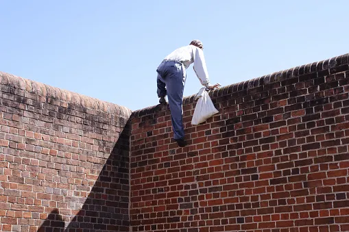 ladron-sube-pared