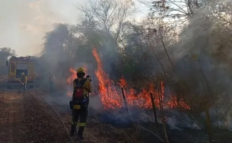 multimedia.miniatura.99af2434ea438332.bWluaWF0dXJhLndlYnA=