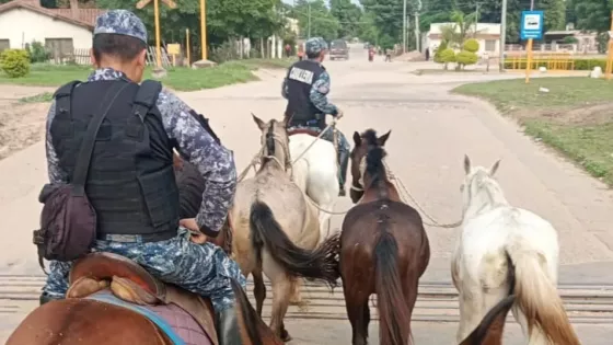 110846-la-policia-de-salta-desarrollo-un-operativo-de-incautacion-de-animales-sueltos-en-distintos-puntos-de-la-provincia