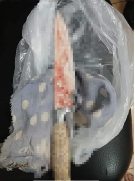 FB_IMG_1730815719485