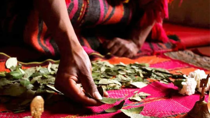 lectura-de-la-hoja-de-coca