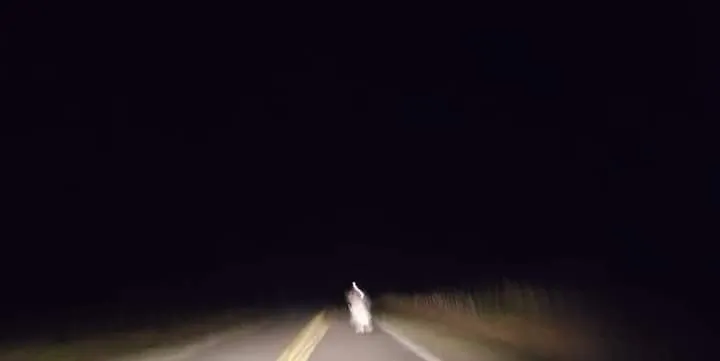 FB_IMG_1712154891231