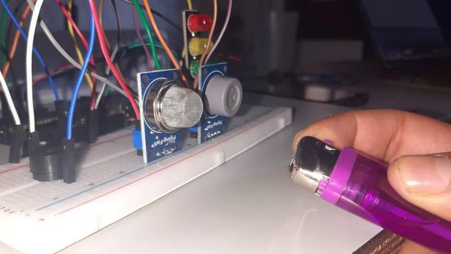 multimedia.normal.9615bf3c94f5a36e.YWd1YXJheV9ub3JtYWwuanBn