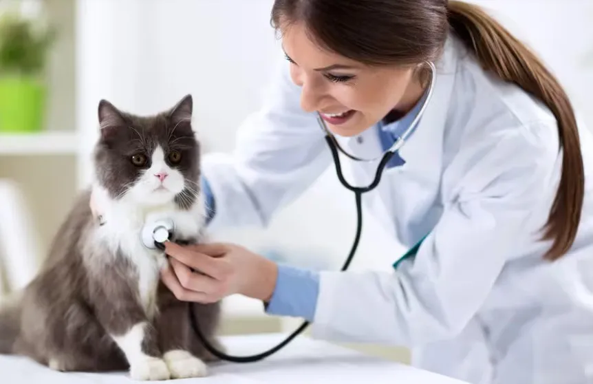 Captura de pantalla 2024-08-06 105817