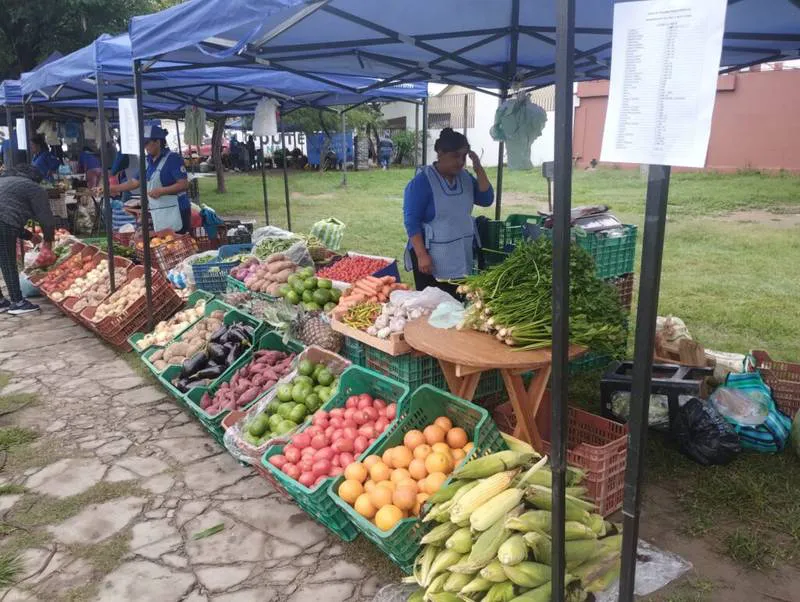 pequenos-productores-1024x771 (1)