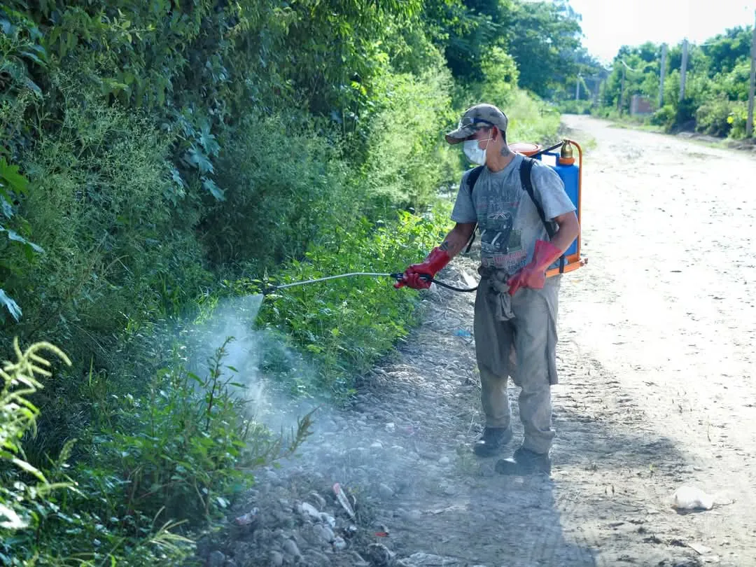 FB_IMG_1737750800424