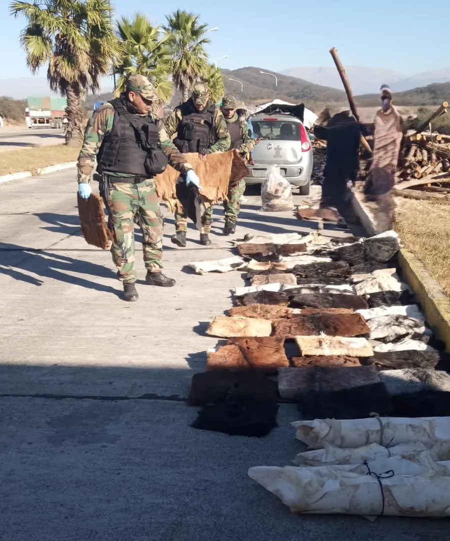 WhatsApp-Image-2024-07-03-at-12.24.06-PM-1-1