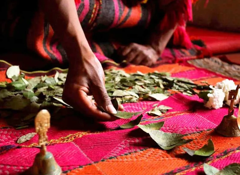 lectura-de-la-hoja-de-coca