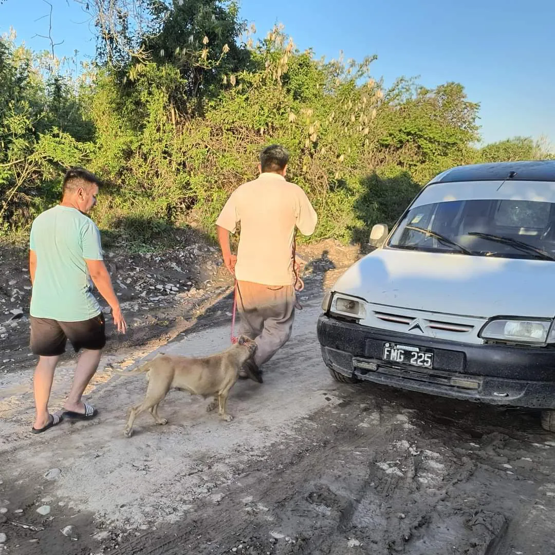 FB_IMG_1730898387218