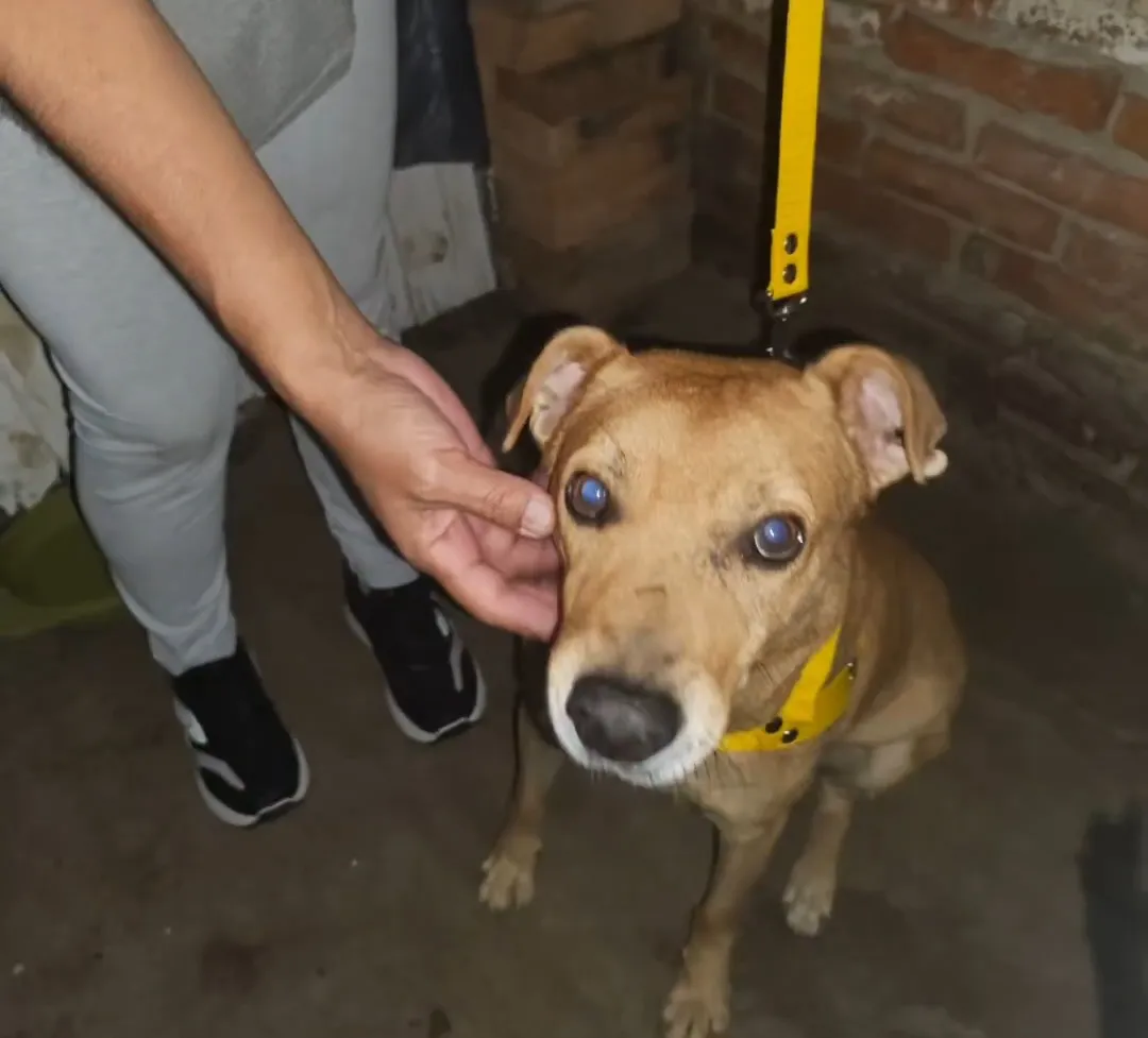 Screenshot_20240430_003019_Facebook