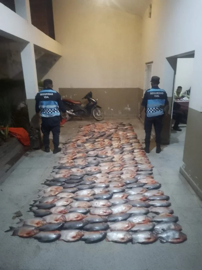 pacu