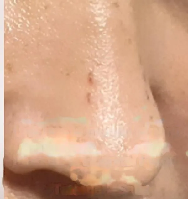 multimedia.normal.b9ce5072414a6854.cmF0YXRfbm9ybWFsLmpwZw==