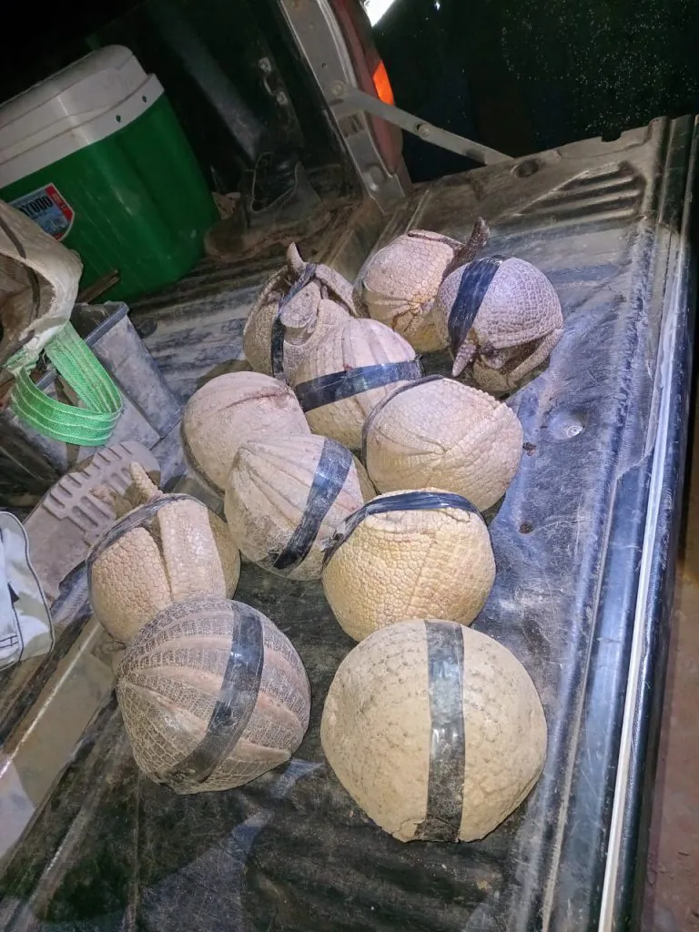 440892402_864208319082360_4803510958961004976_n