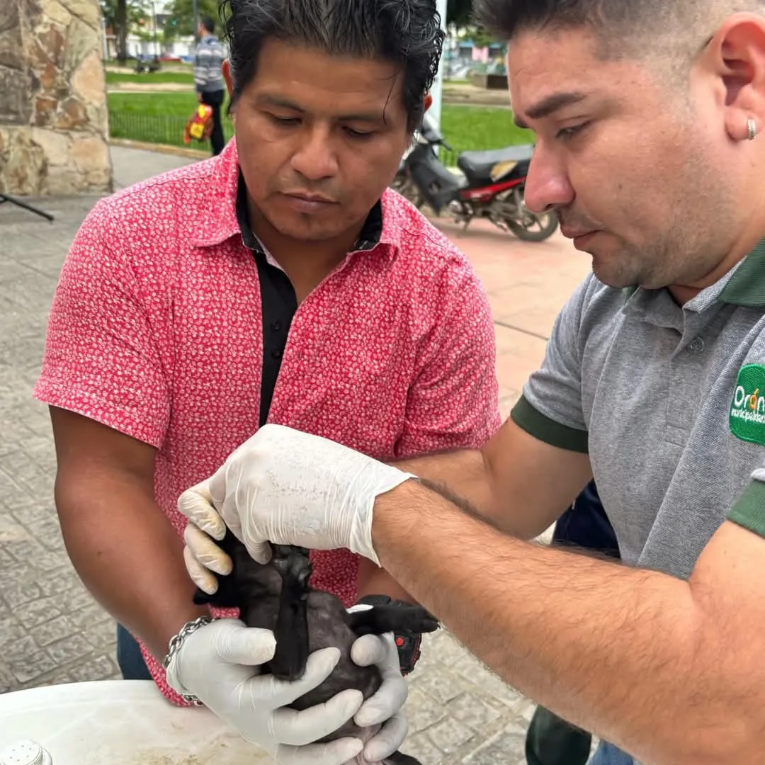 FB_IMG_1744028598706