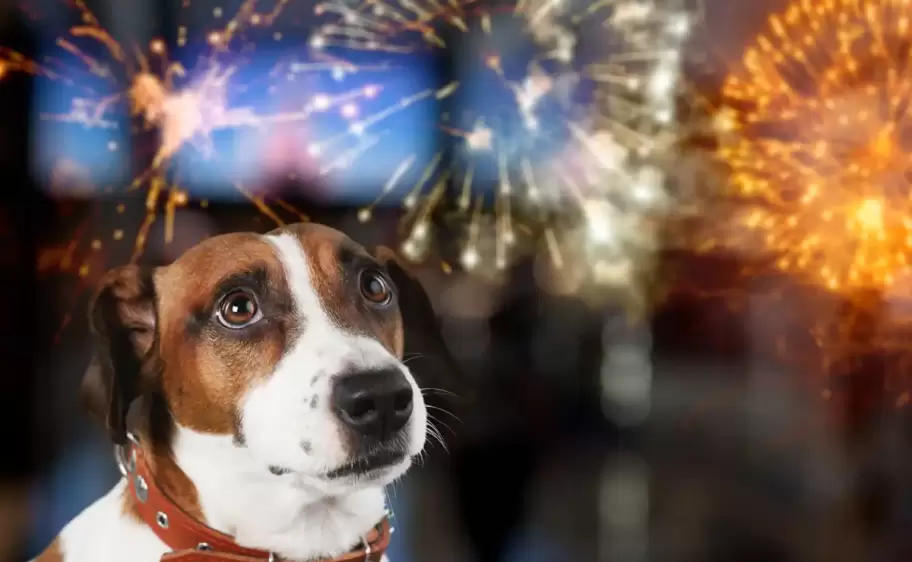 6751bee6eb1da__912x912