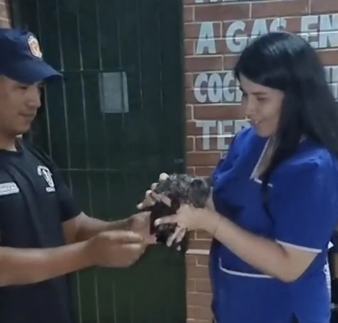 Screenshot_20241113_103259_Gallery