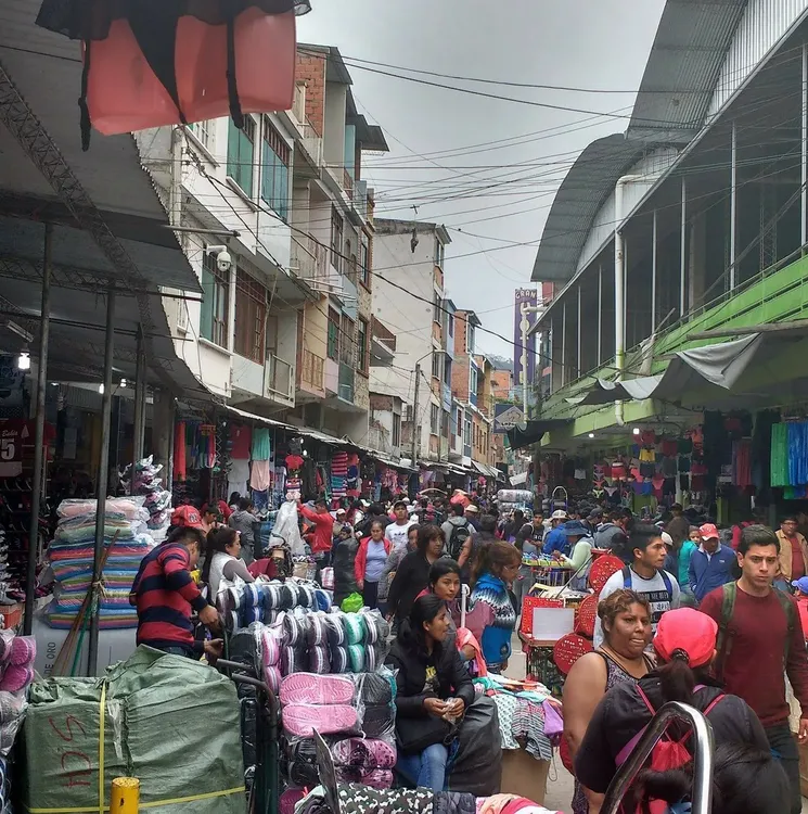 300376313_403845365225525_1277065274902396362_n