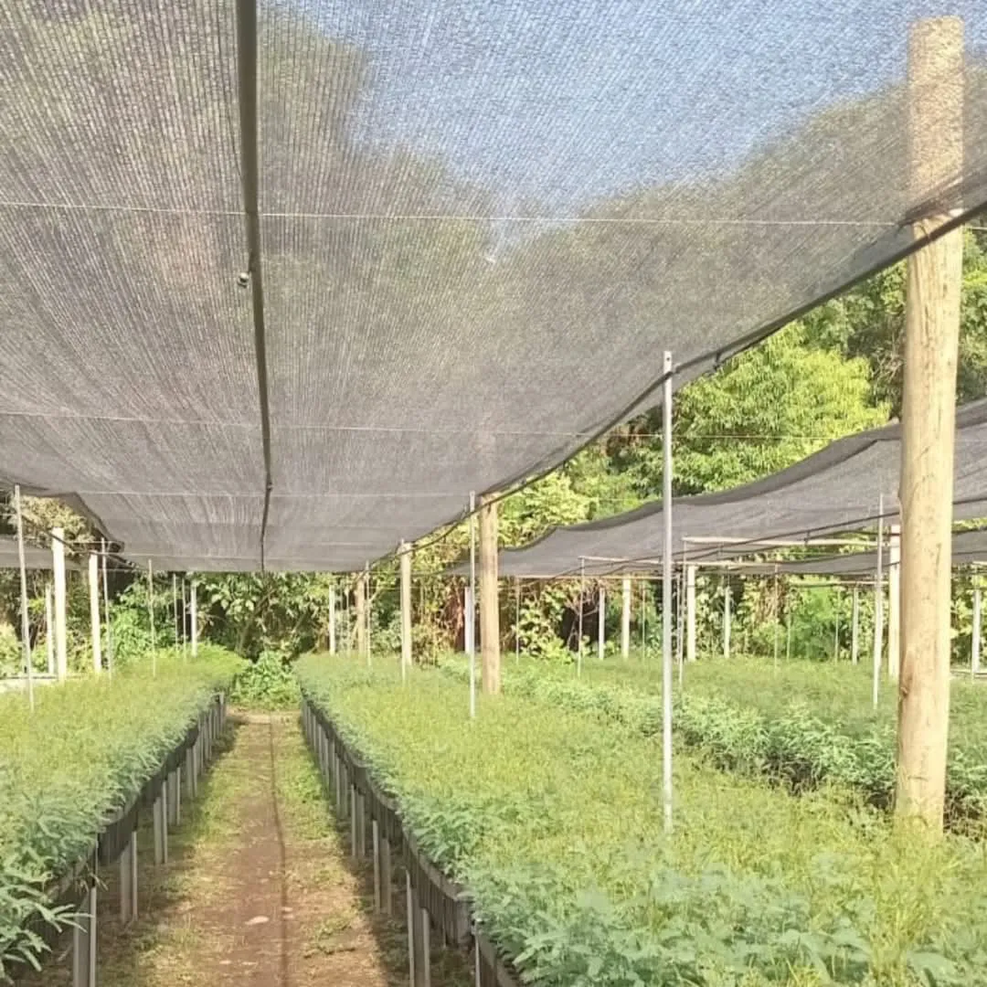 FB_IMG_1736607943070