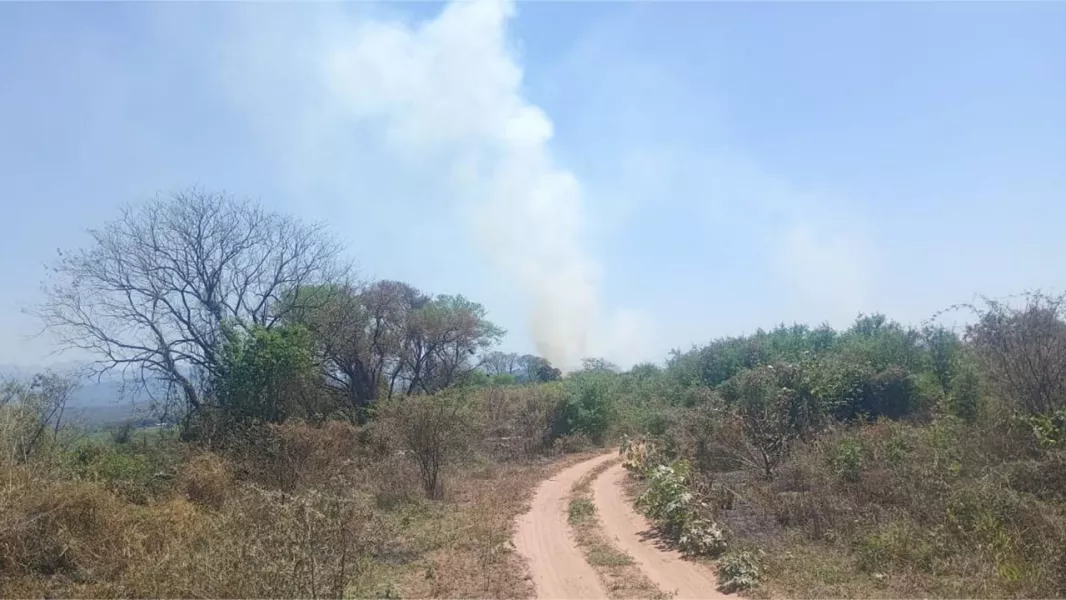 19739-defensa-civil-encabeza-un-amplio-operativo-para-controlar-un-incendio-de-pastizales-en-urundel
