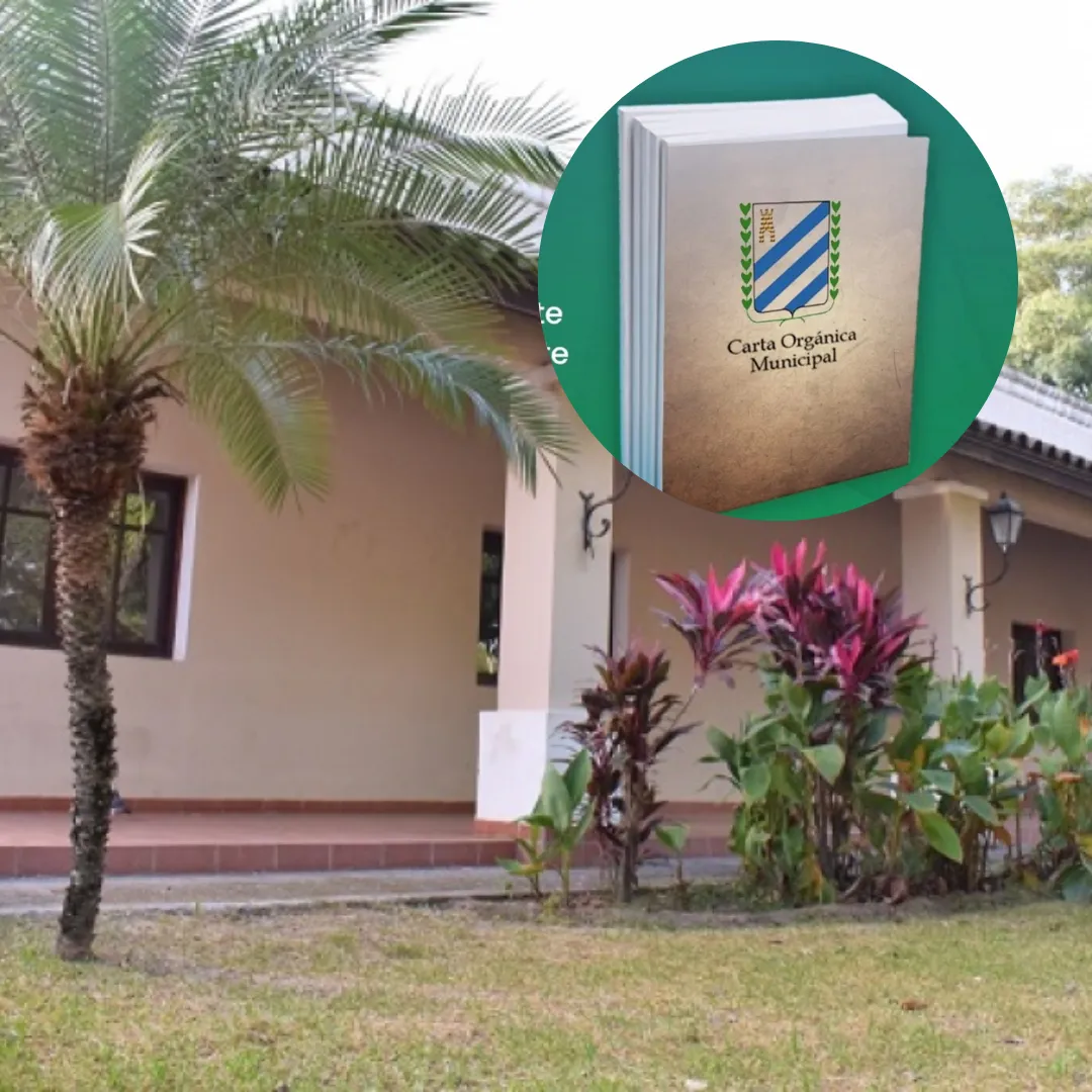 Placas Metro 2024 - 2024-11-20T101319.650