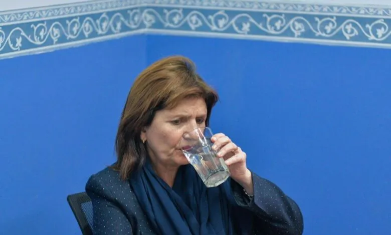 77459-catering-vuelos-de-campania-y-honorarios-millonarios-detras-de-la-fundacion-de-bullrich-780x470