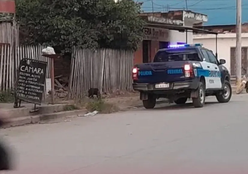 FB_IMG_1750679774777 (1)