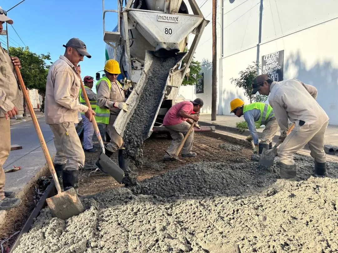 FB_IMG_1731690042645