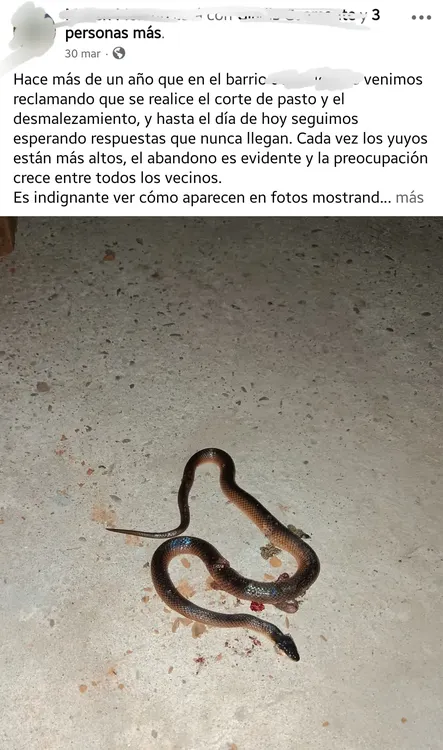 Screenshot_20260407_152344_Facebook