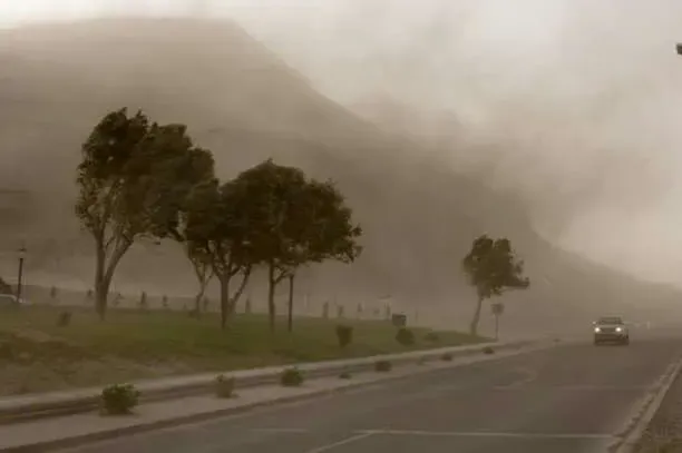 0d1a9207a21f3684128f078c7c272095