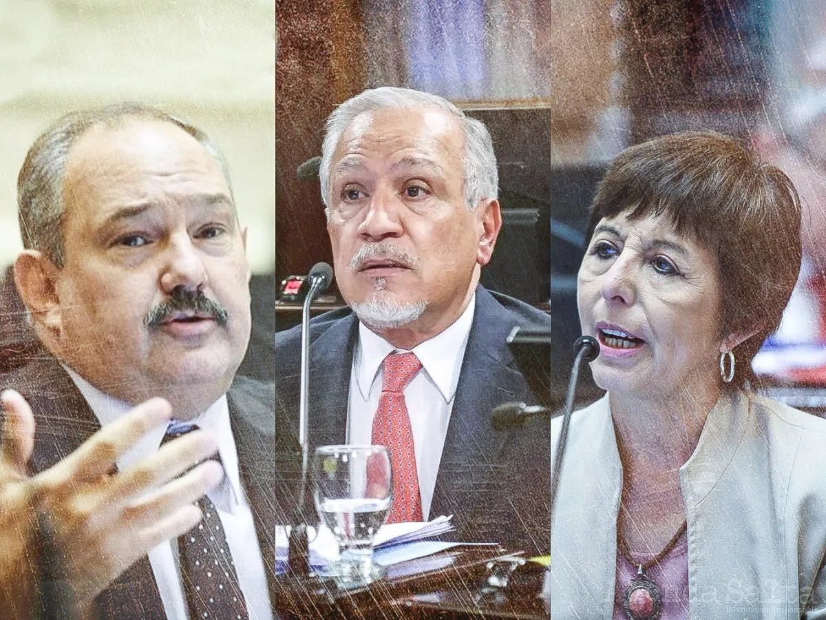 32023-cobraran-mas-de-cuatro-millones-senadores-por-salta-de-acuerdo-con-triplicarse-la-dieta