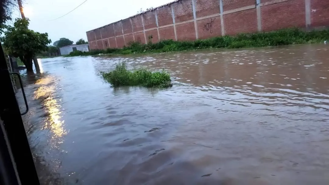 multimedia.normal.a8c3775b44494eeb.b3LDoW5sbHV2aWFhX25vcm1hbC53ZWJw