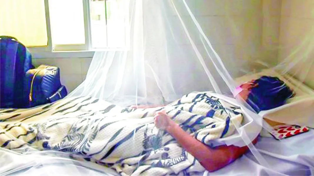 86860-con-dos-nuevos-decesos-las-muertes-provocadas-por-el-dengue-ya-llegan-a-7