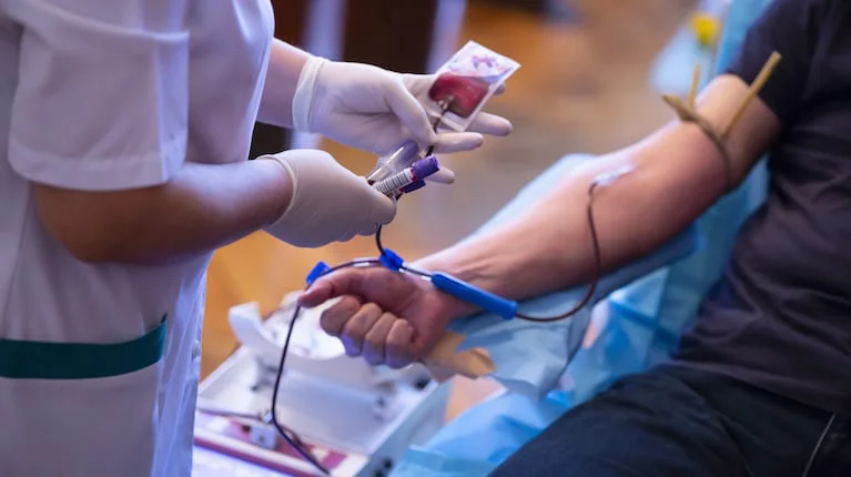 convocan-a-donar-sangre-ante-una-importante-caida-foto-adobe-stock-BRICUBVOH5G5TN4CZAYQK32WWU