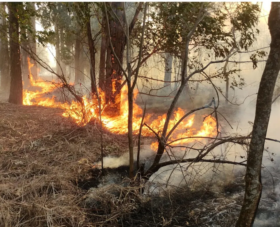 incendio-pastizales