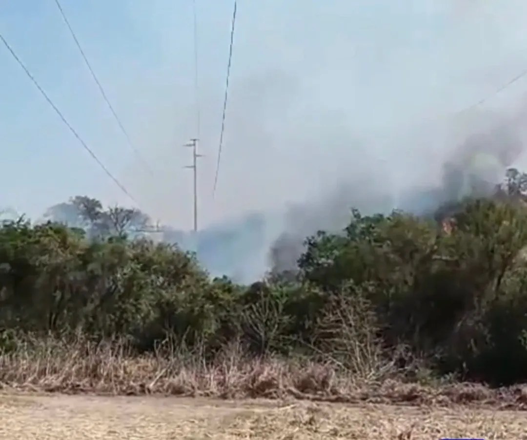 Screenshot_20231003-172654_Instagram