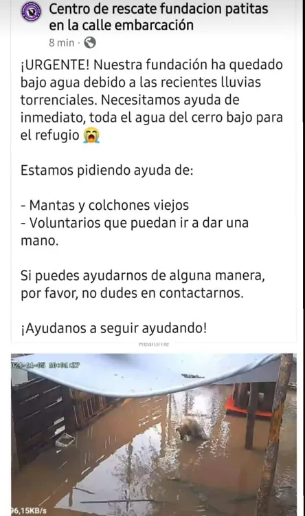 Screenshot_20241105_105244_WhatsApp