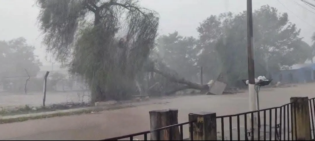 FB_IMG_1766410978608