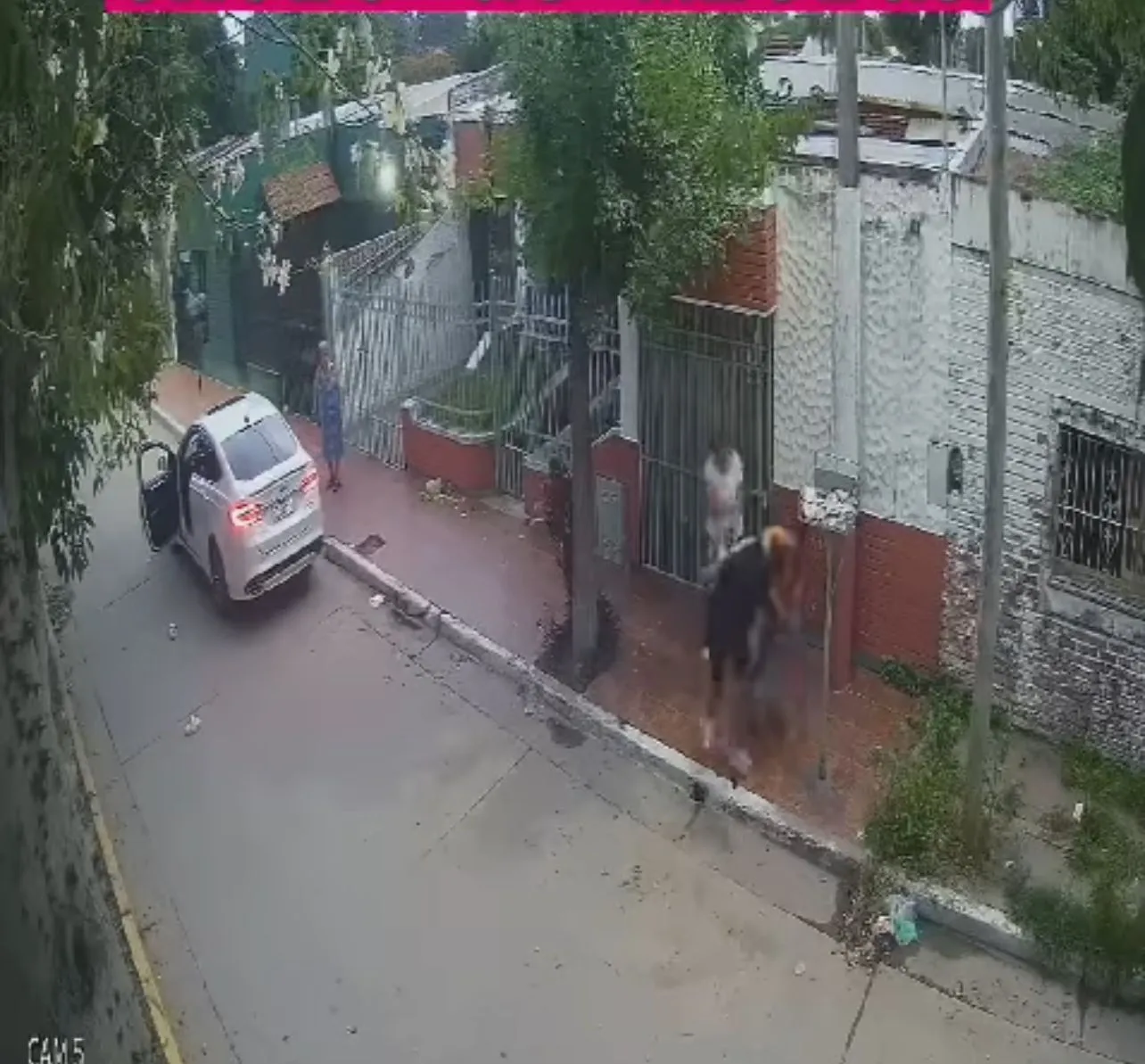 WhatsApp Image 2024-05-03 at 10.00.05