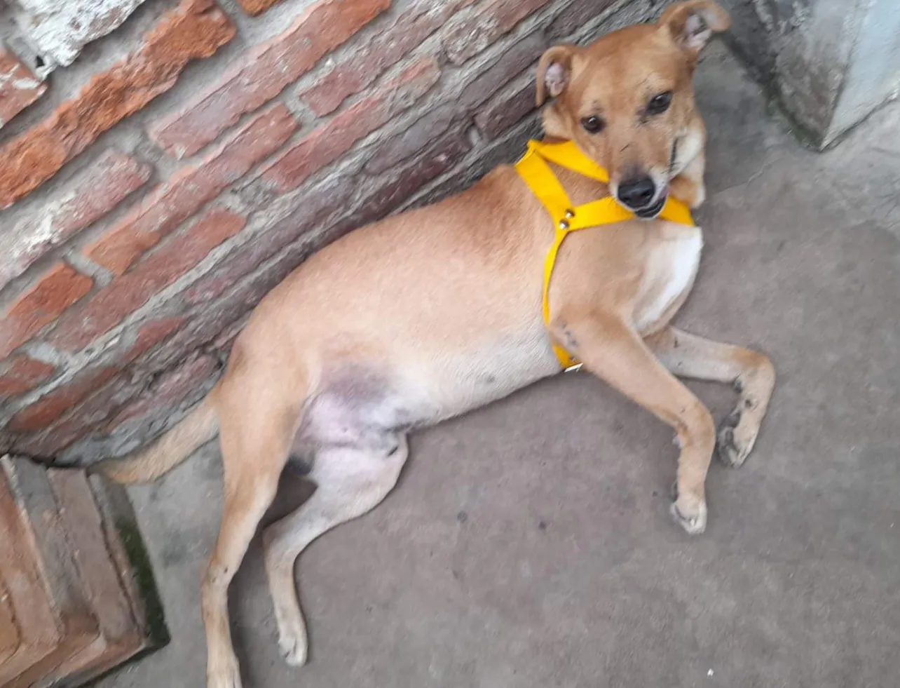 FB_IMG_1714238544402