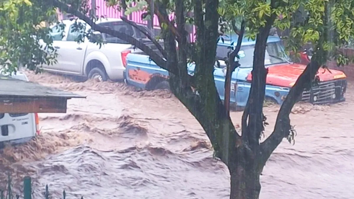 multimedia.normal.9021e87efdb18a26.SW51bmRhY2lvbmVzIE1ldMOhbl9ub3JtYWwud2VicA==