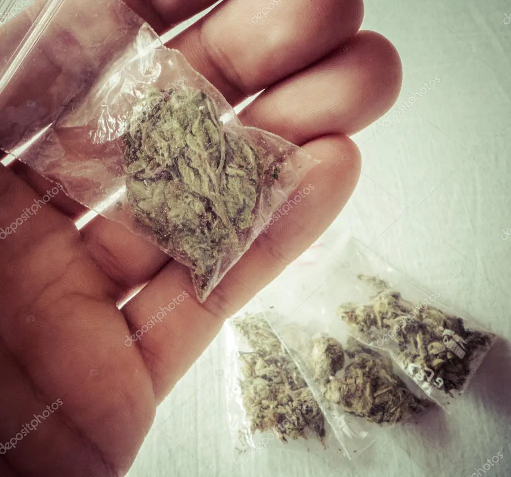 depositphotos_71863805-stock-photo-marijuana-in-plastic-bags