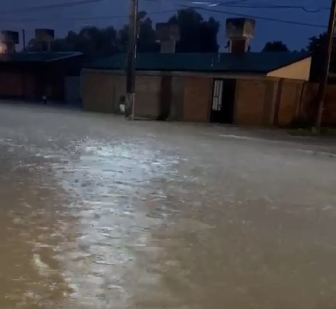 Screenshot_20241105_081711_Gallery