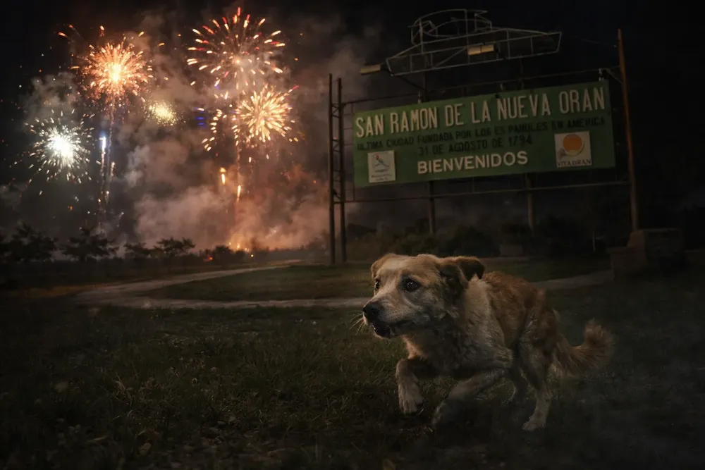 file_00000000ef9c720eb0a454da4071548e