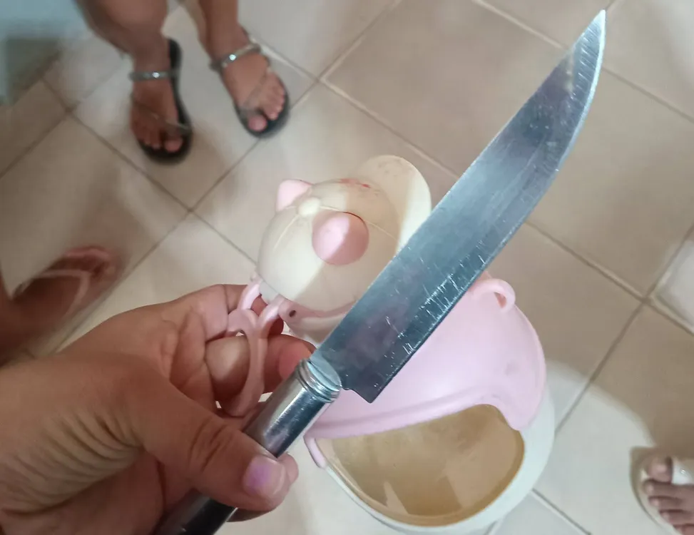 FB_IMG_1773498737244