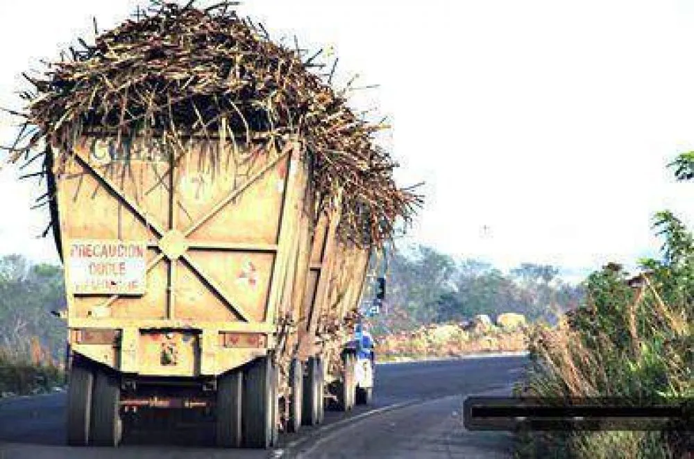 nota-881549-tres-muertos-chocar-camion-canero-130603062722